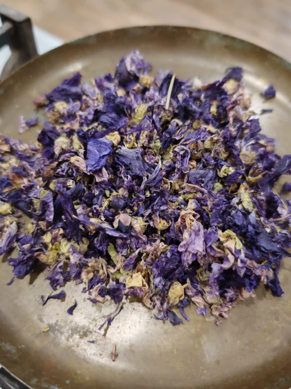 Mauve (fleur) - Malva sylvestris