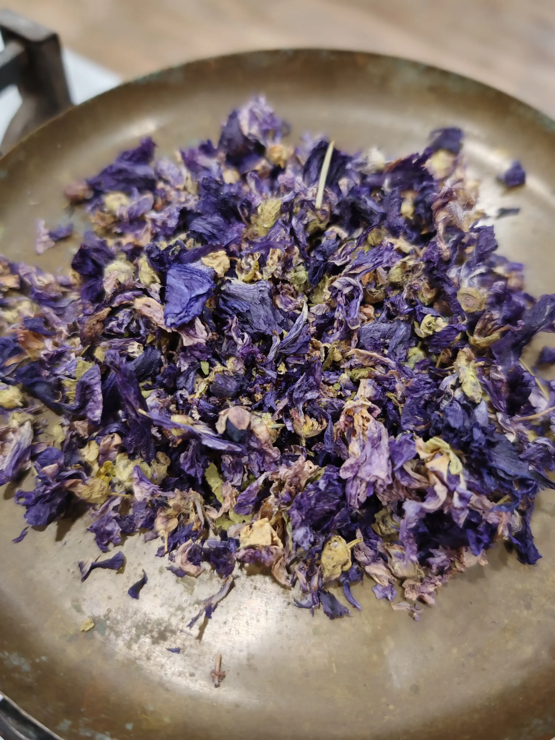 Mauve (fleur) - Malva sylvestris