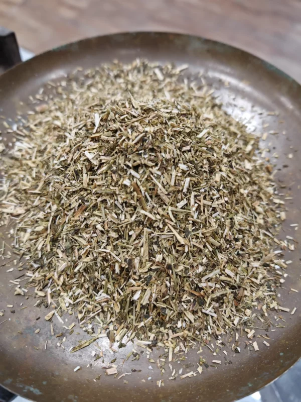 Mélilot - Melilotus officinalis