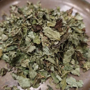 Mélisse - Melissa officinalis