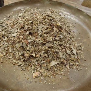 Moringa - Moringa oleifera