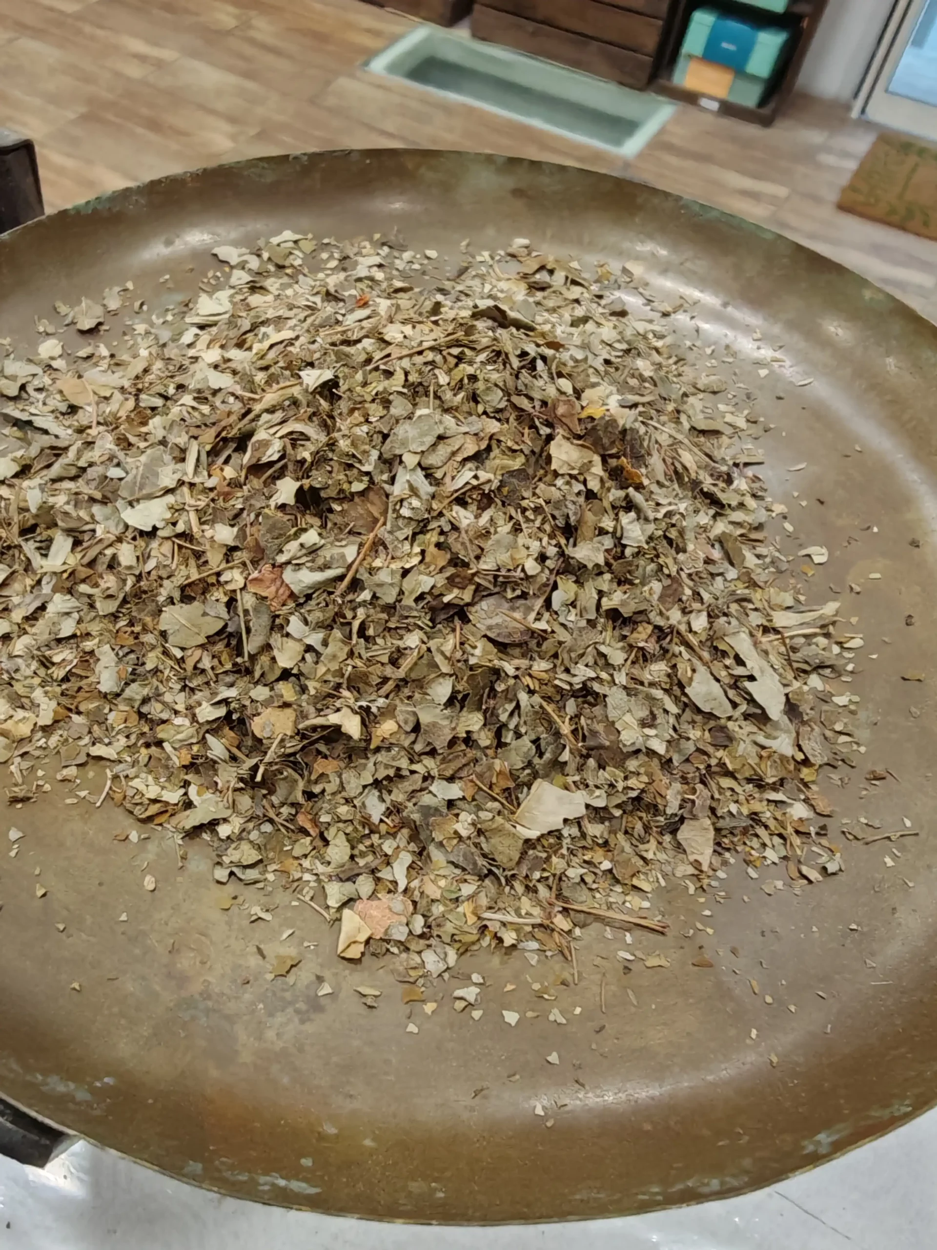 Moringa - Moringa oleifera