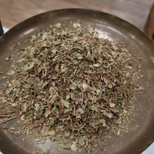 Myrtille (feuilles) - Vaccinum myrtillus