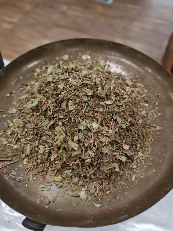 Myrtille (feuilles) - Vaccinum myrtillus