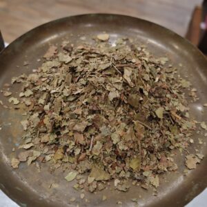 Noyer - Juglans regia