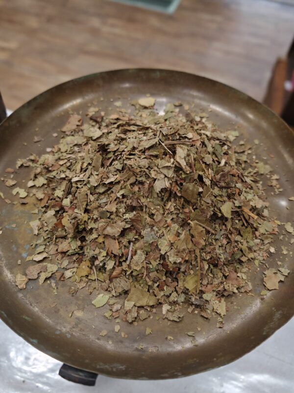 Noyer - Juglans regia