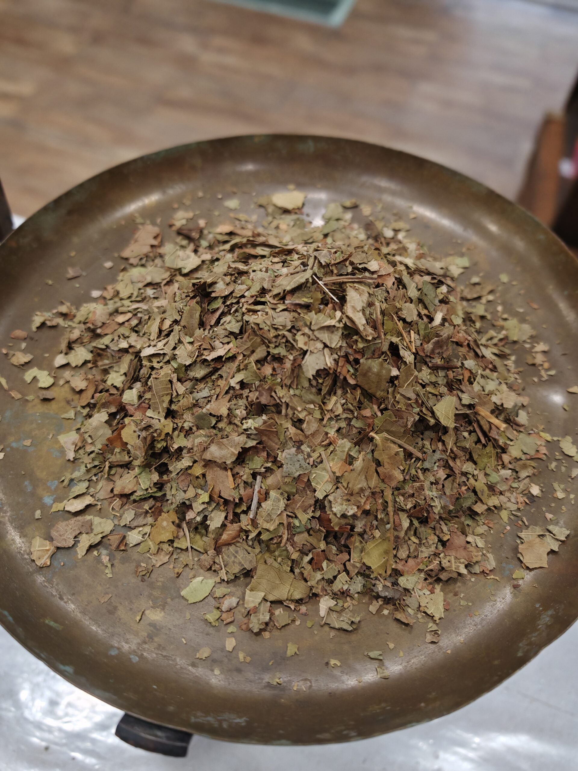 Noyer - Juglans regia