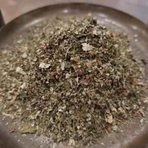 Noisetier - Corylus avellana