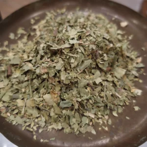 Oranger bigaradier (feuilles)- Citrus aurantium var. amara