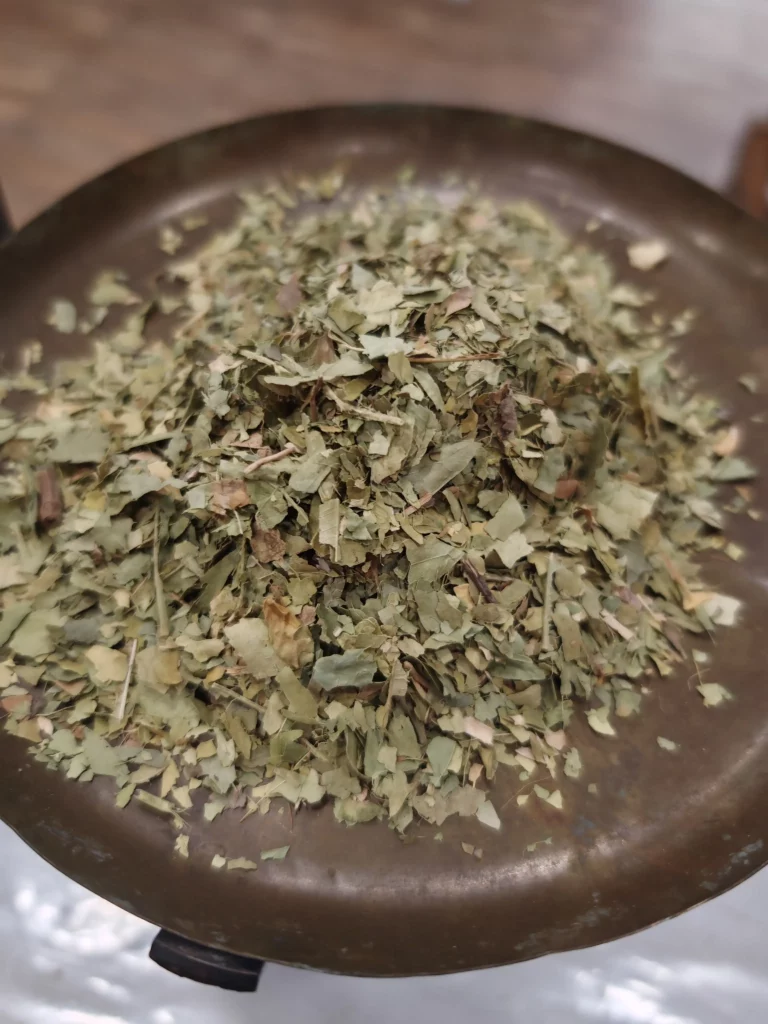 Oranger bigaradier (feuilles)- Citrus aurantium var. amara