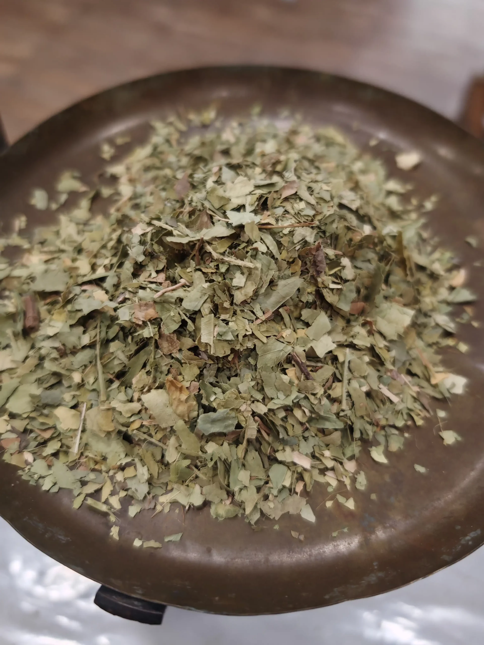 Oranger bigaradier (feuilles)- Citrus aurantium var. amara