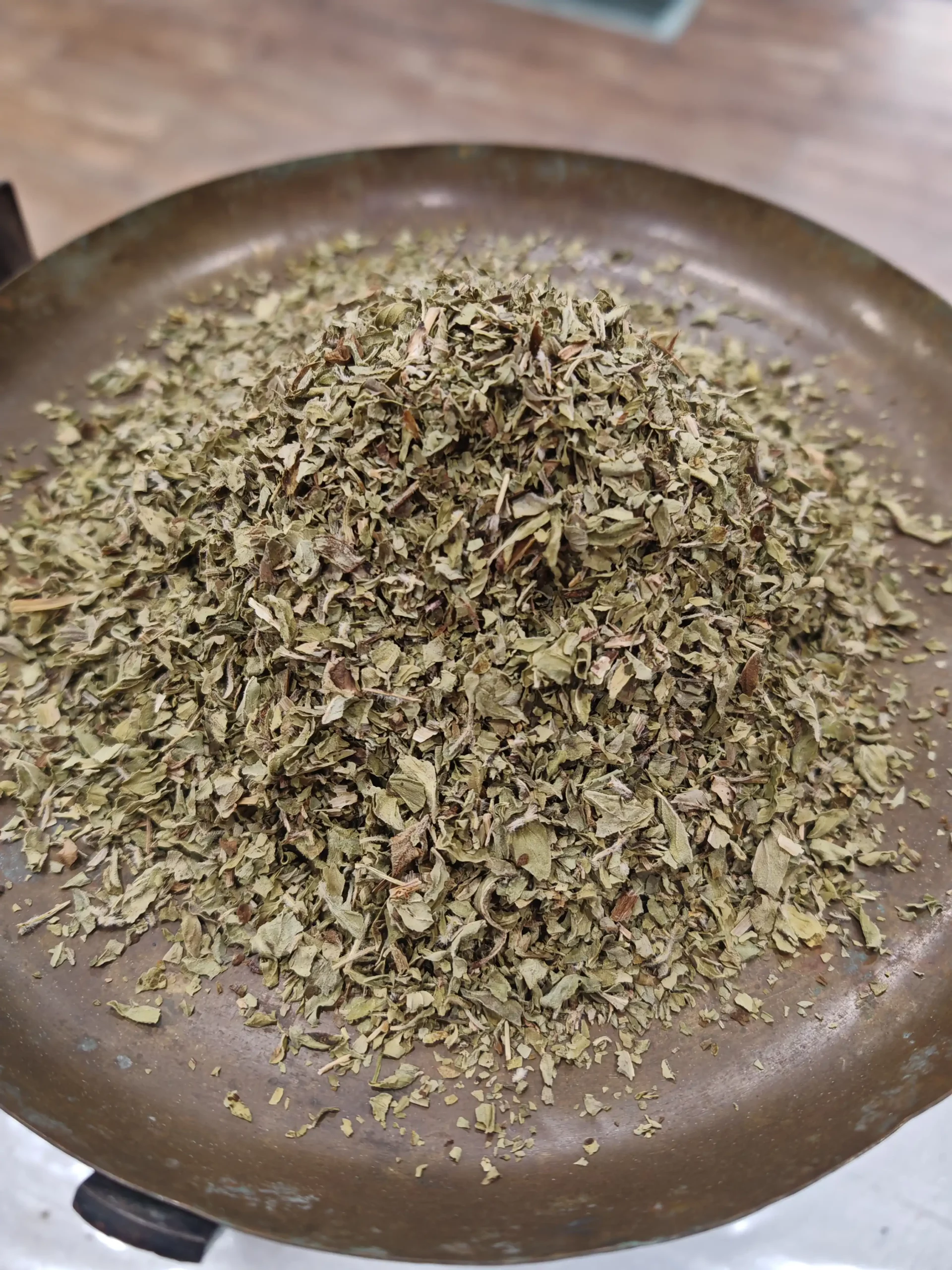 Origan - Origanum vulgare