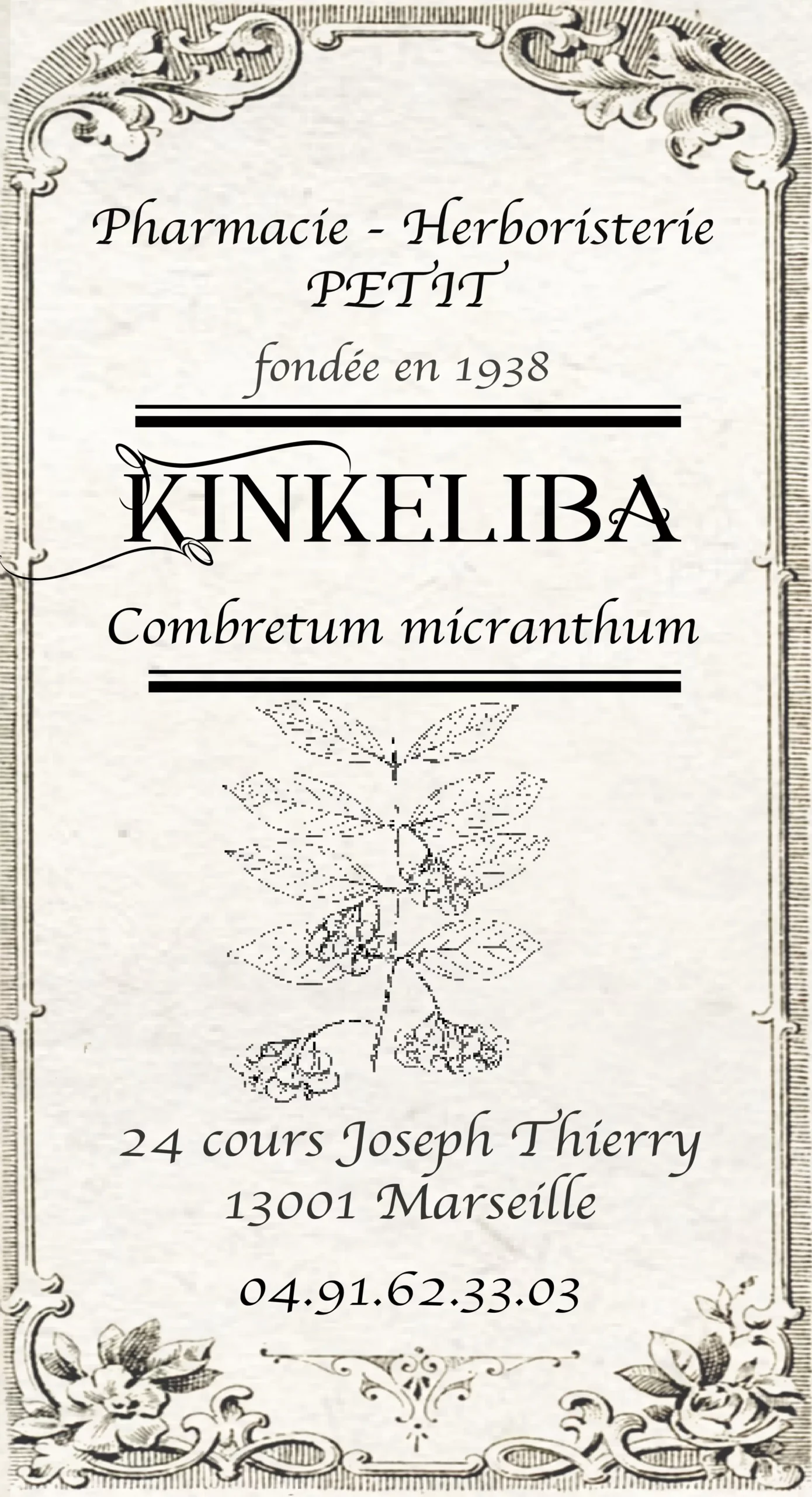 Kinkeliba - Combretum micranthum – Image 2