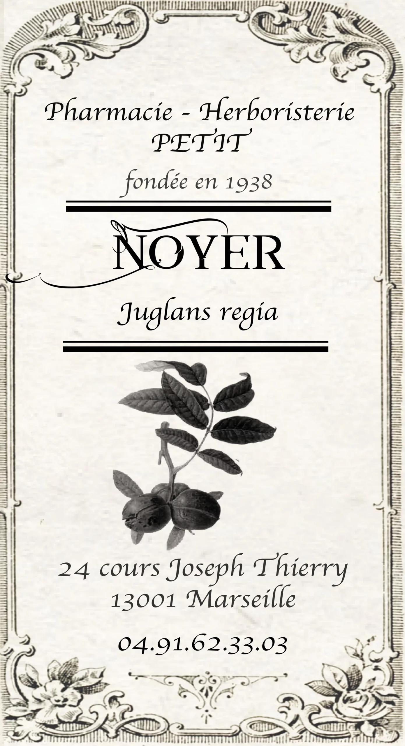 Noyer - Juglans regia – Image 2