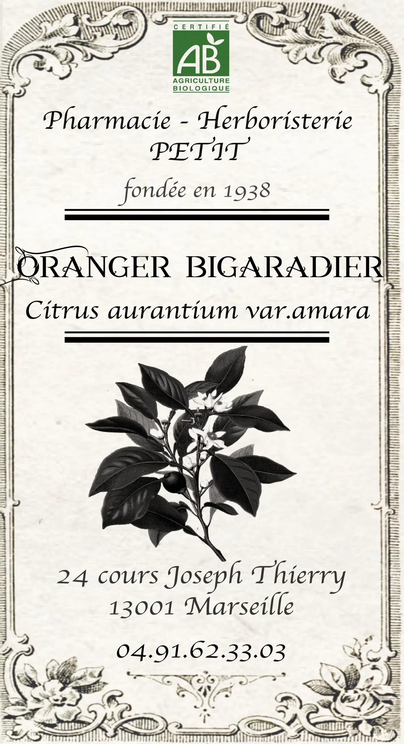 Oranger bigaradier (feuilles)- Citrus aurantium var. amara – Image 2