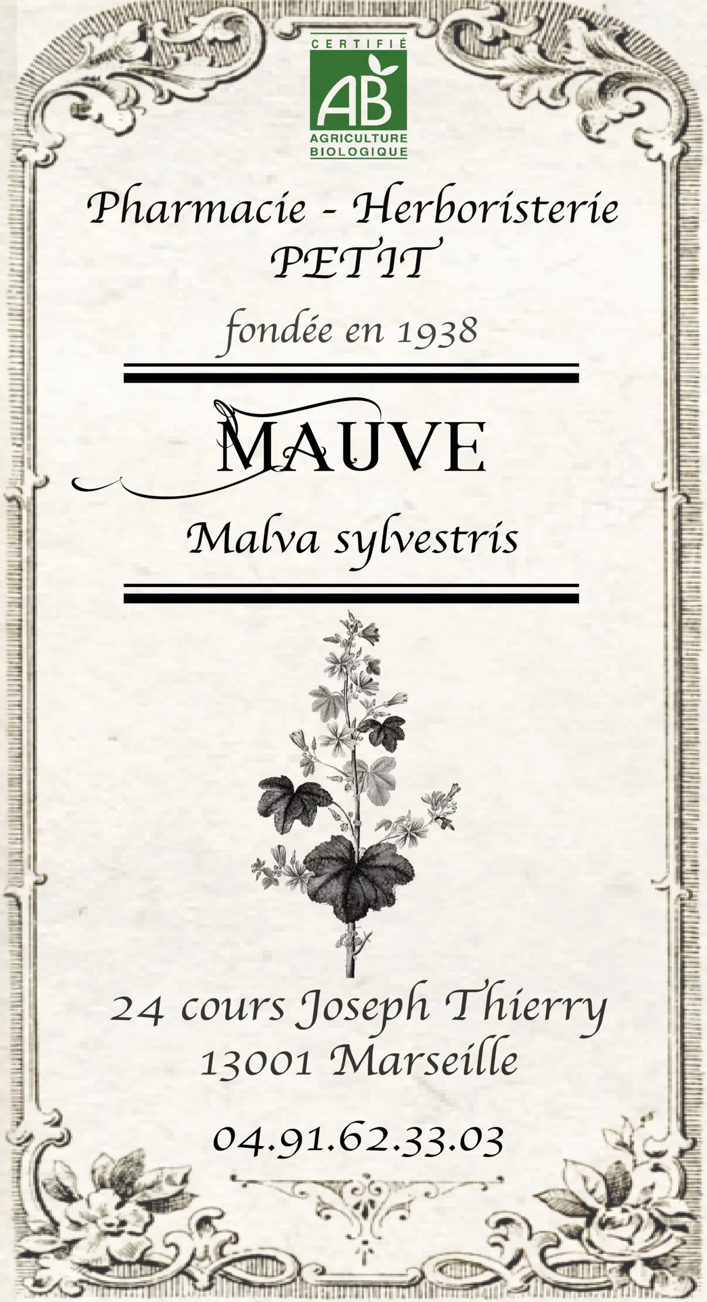 Mauve (fleur) - Malva sylvestris – Image 2