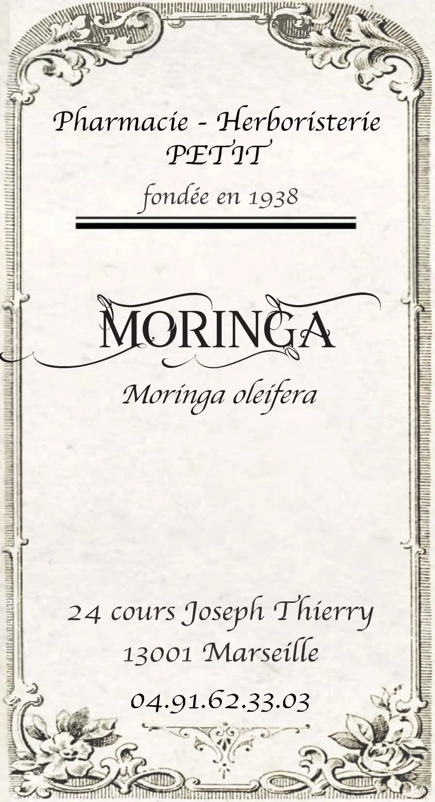 Moringa - Moringa oleifera – Image 2
