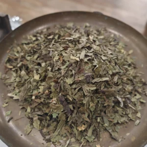 Plantain lancéolé - Plantago lanceolata