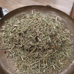 Prêle - Equisetum arvens