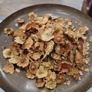 Paliure - Paliurus aculeatus