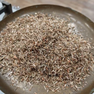 Renouée des oiseaux - Polygonum aviculare