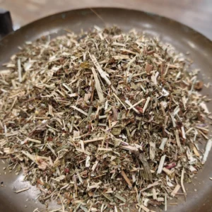 Reine des prés - Spiraea ulmaria