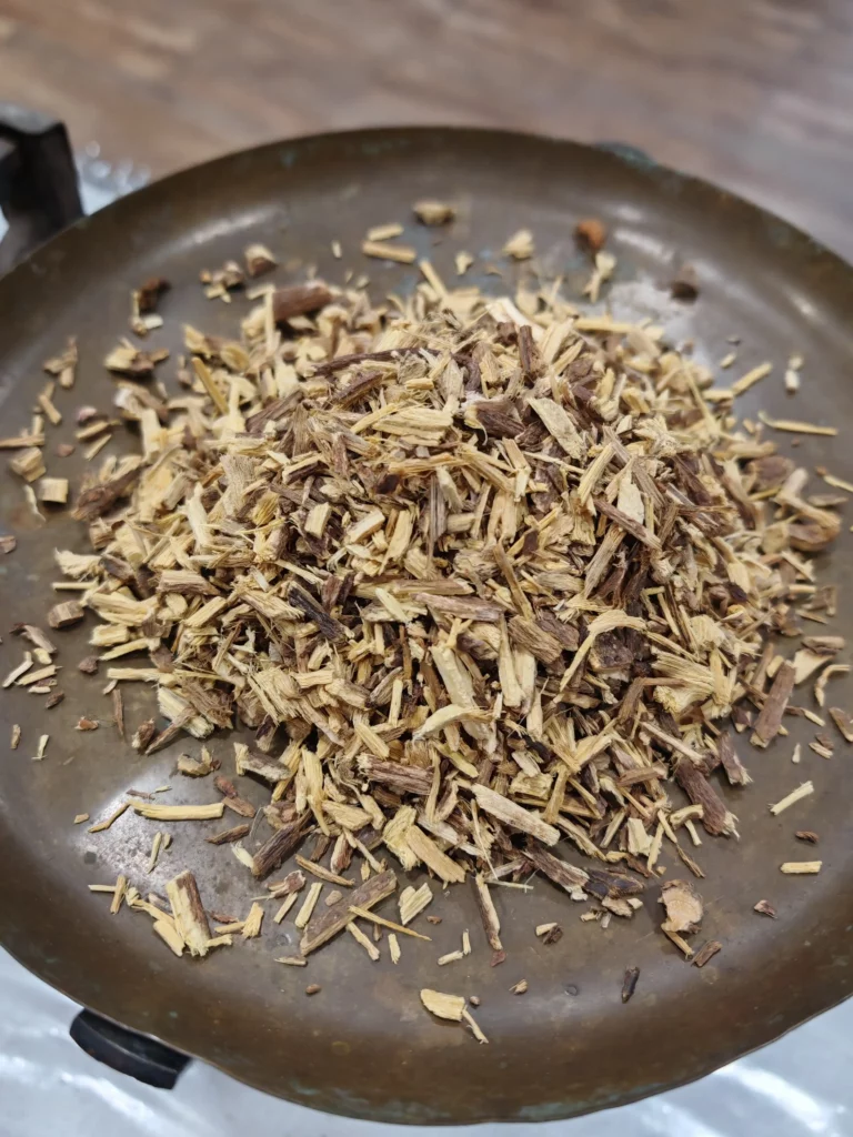 Réglisse - Glycyrrhiza glabra