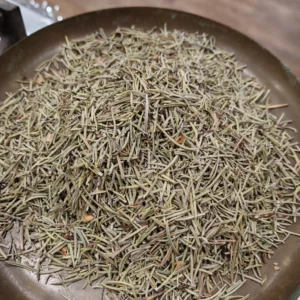 Romarin - Rosmarinus officinalis