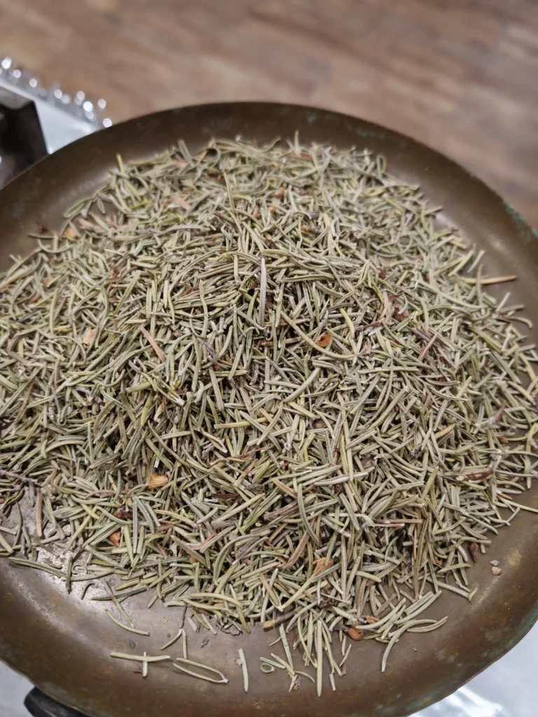 Romarin - Rosmarinus officinalis