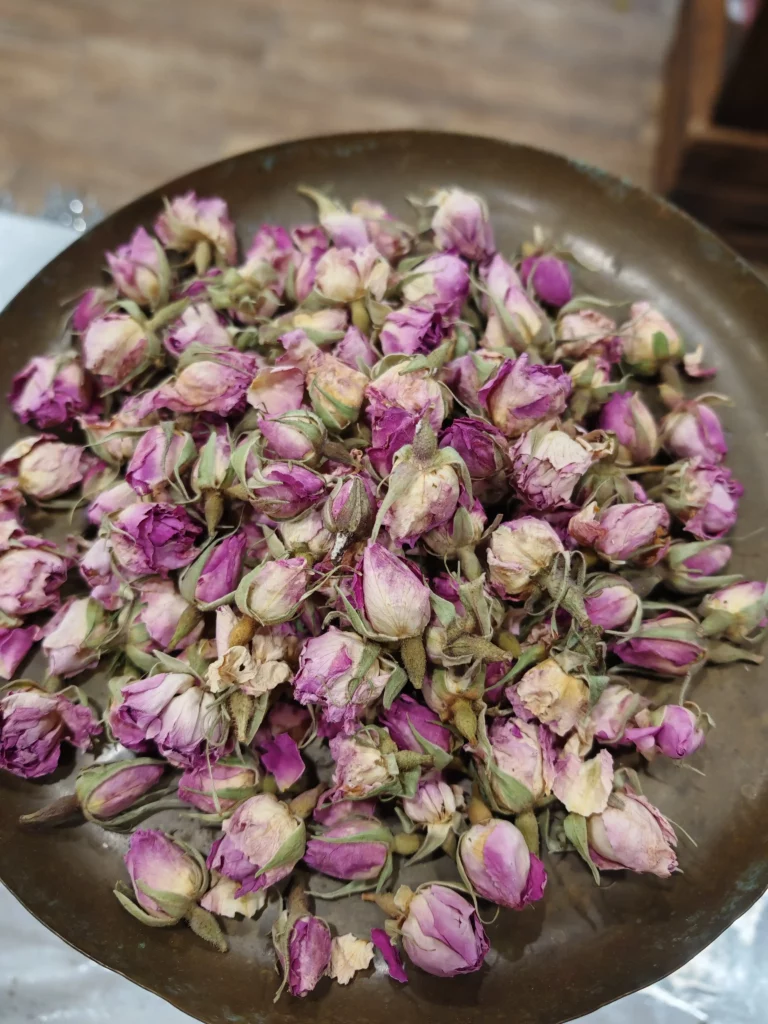 Rose de Damas (pétales ou bouton floraux) - Rosa damascena
