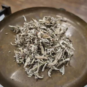 Sauge officinale – Salvia officinalis