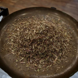 Serpolet – Thymus serpyllum