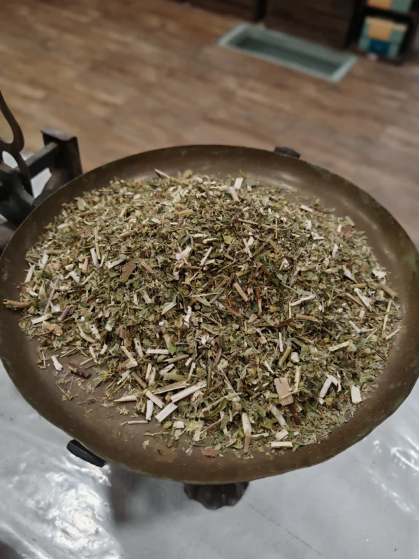 Solidage (Verge d'or) - Solidago gigantea