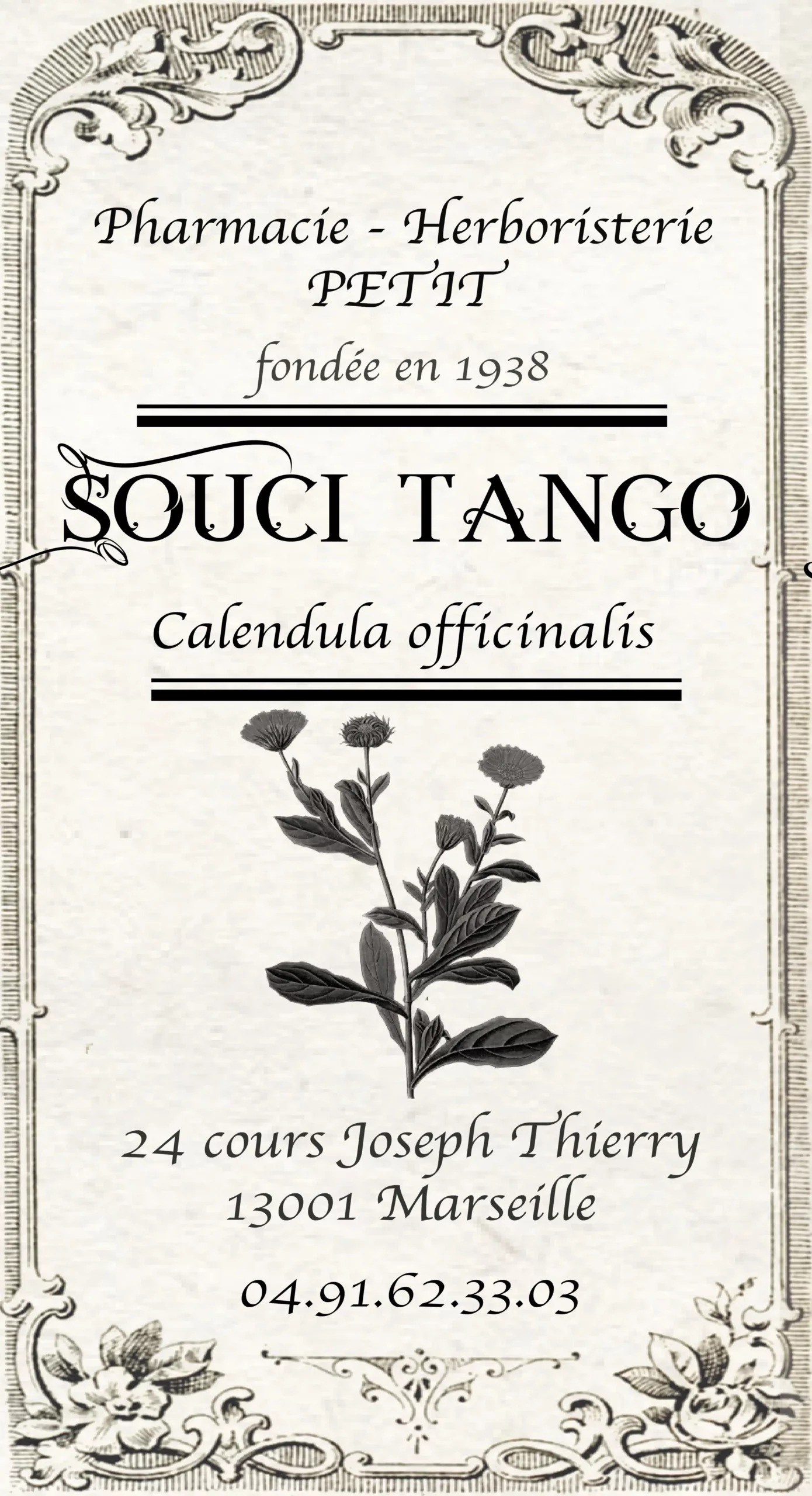 Souci tango - Calendula officinalis – Image 2
