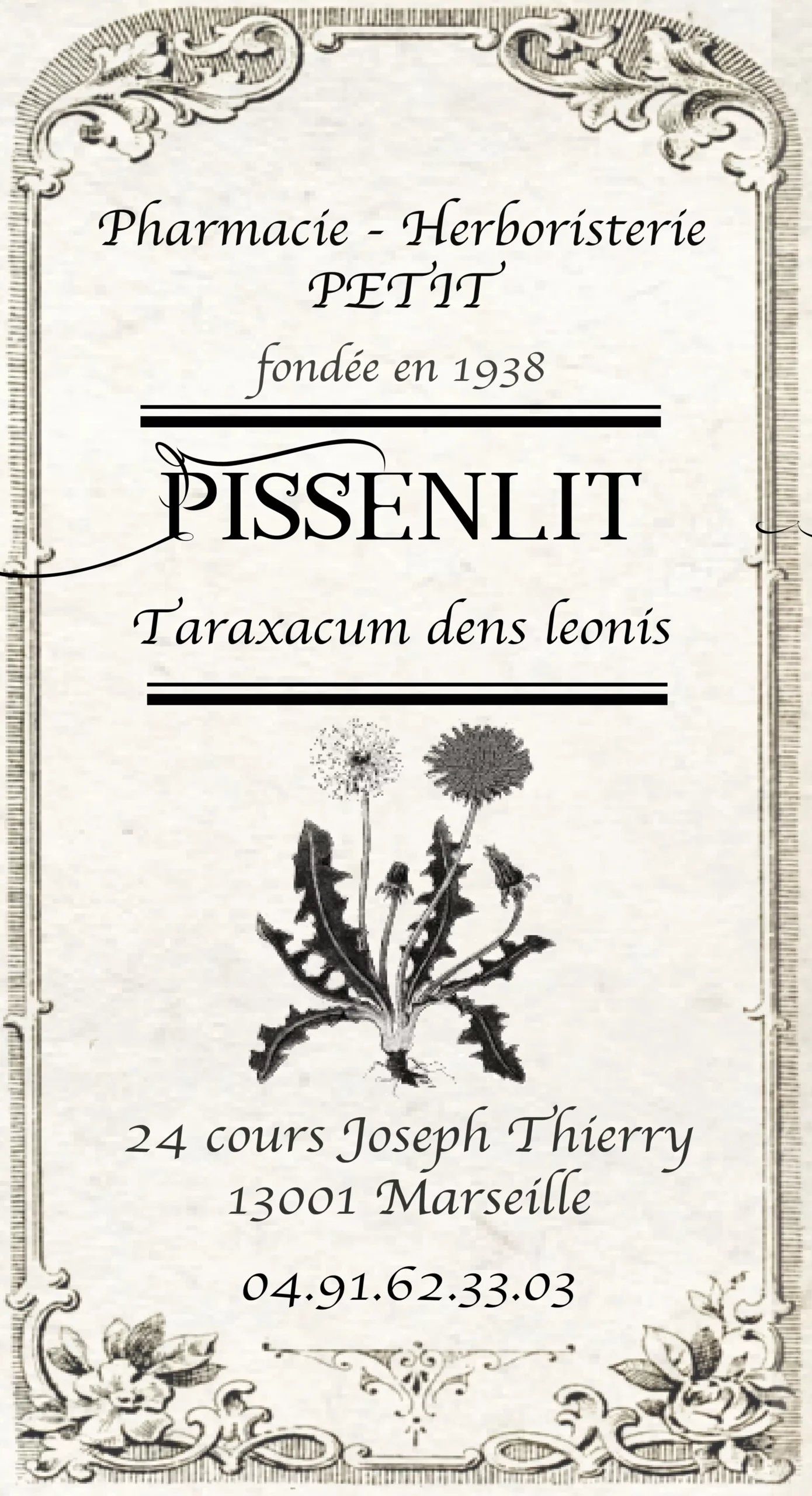 Pissenlit (feuilles) - Taraxacum dens leonis – Image 2