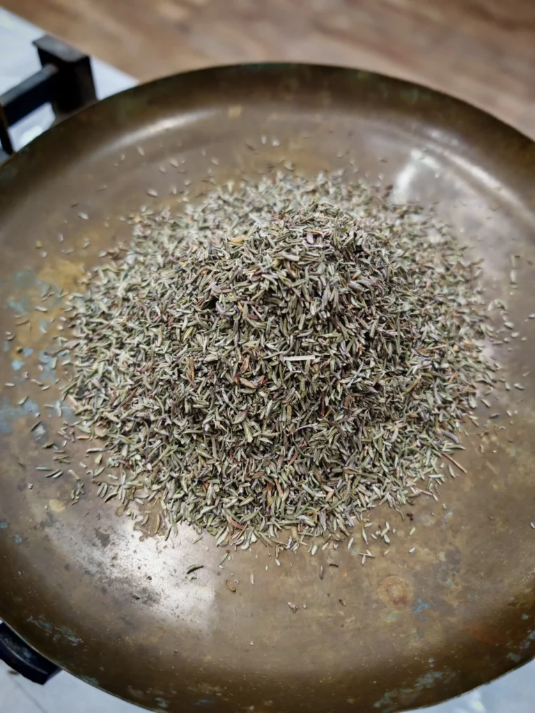 Thym de Provence - Thymus vulgaris