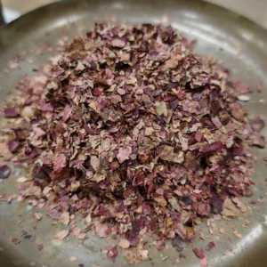 Vigne rouge - Vitis vinifera