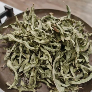 Verveine odorante - Lippia citriodora