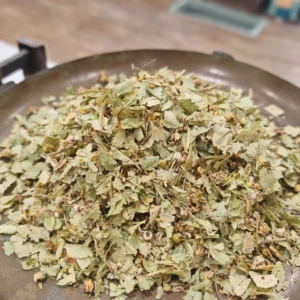 Tilleul de Carpentras - Tilia europea