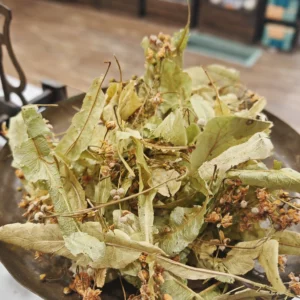 Tilleul de Carpentras - Tilia europea