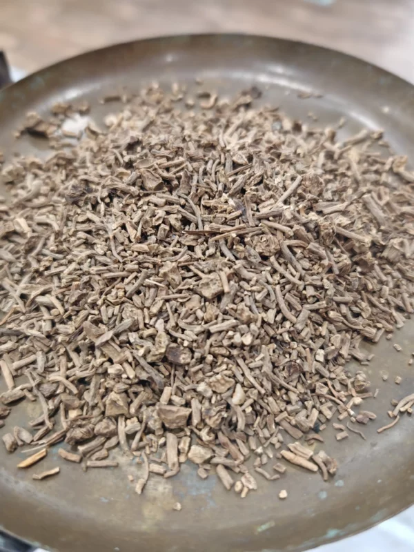 Valériane - Valeriana officinalis