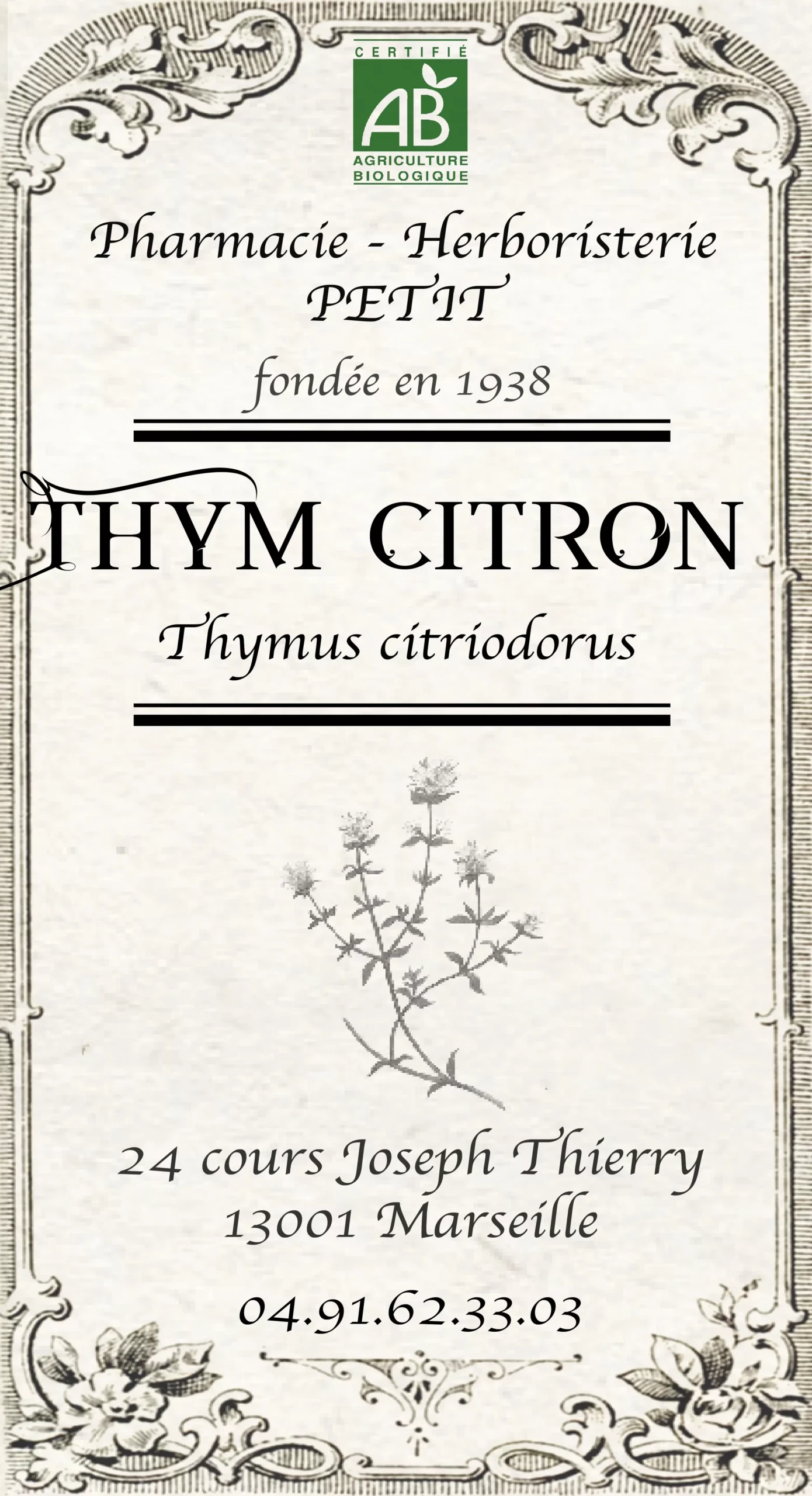 Thym citron - Thymus citriodorus – Image 2