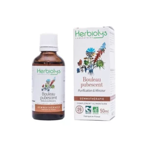 Bouleau pubescent - Bourgeon Bio - Gemmothérapie
