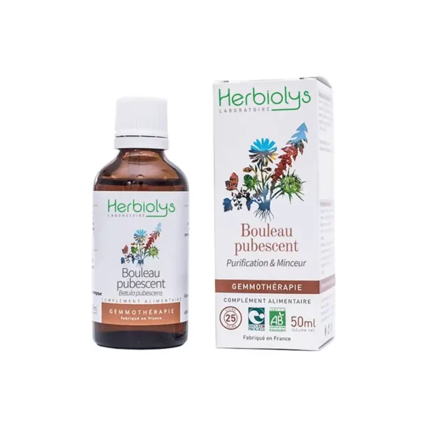 Bouleau pubescent - Bourgeon Bio - Gemmothérapie