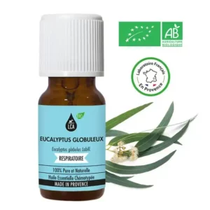 Huile essentielle bio Eucalyptus globuleux