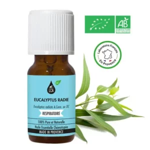 Huile essentielle Eucalyptus radié bio