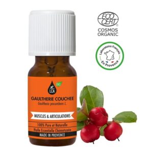 Huile essentielle bio Gaulthérie couchée