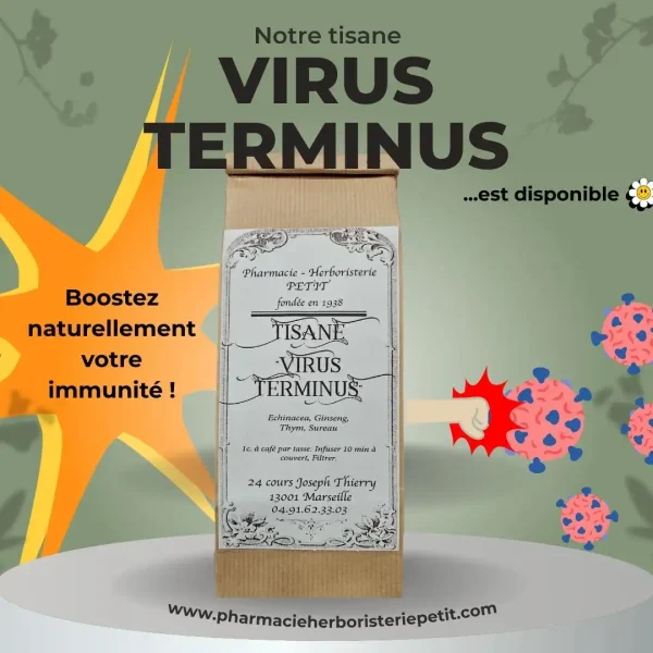 Tisane "VIRUS TERMINUS" - Immunité