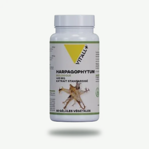 HARPAGOPHYTUM BIO* 400mg