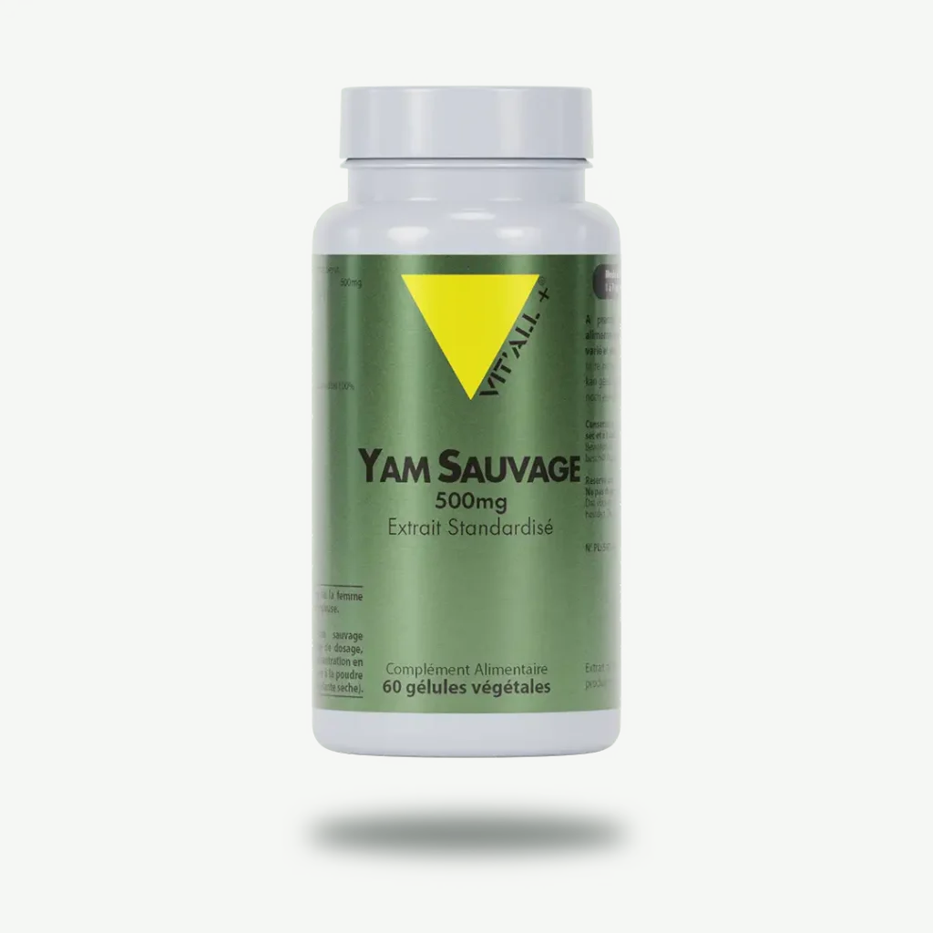 YAM SAUVAGE 500mg Extrait Standardisé
